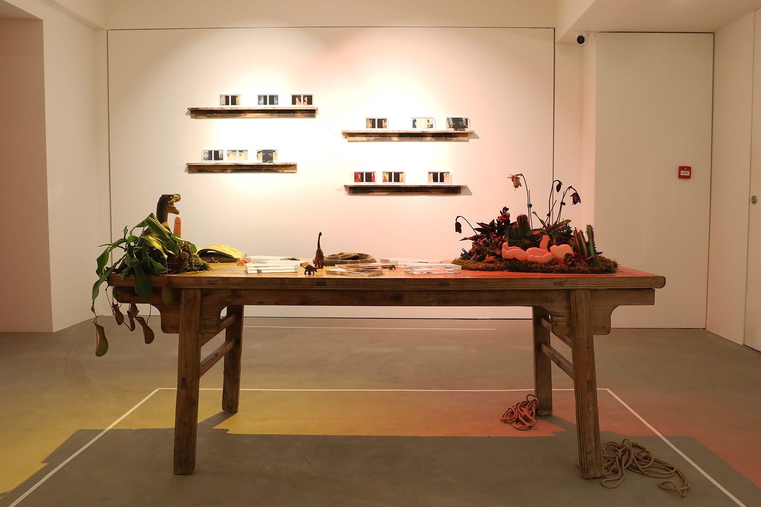 The Solo Exhibition of Nobuyoshi Araki