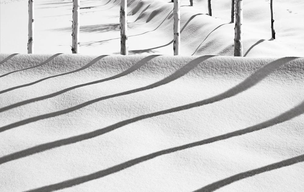 Deep Focus: The Photography of Abbas Kiarostami