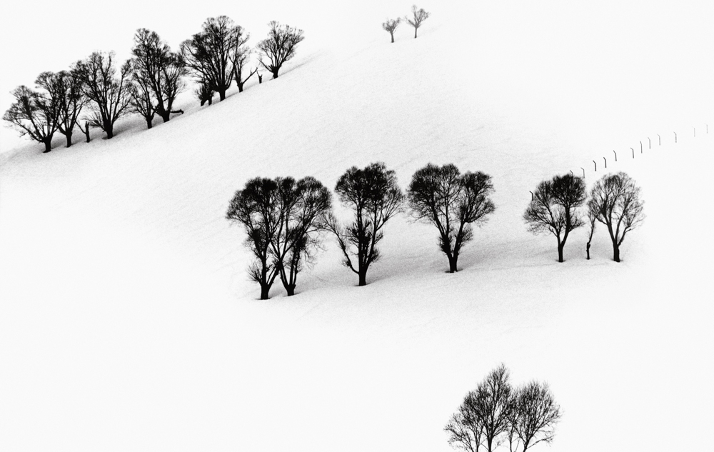 アート・デザイン・音楽 abbas kiarostami /  white (small) アート・デザイン・音楽 abbas kiarostami / snow white (small